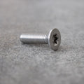 Vis torx M8 unité